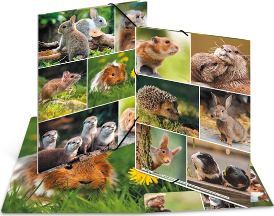 Picture of Teka Teczka A4 gumki narone - Gryzonie