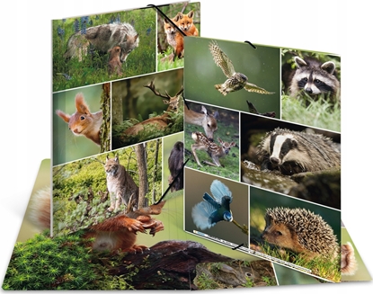 Attēls no Teka Teczka A4 gumki narone - Le¶ne zwierzta