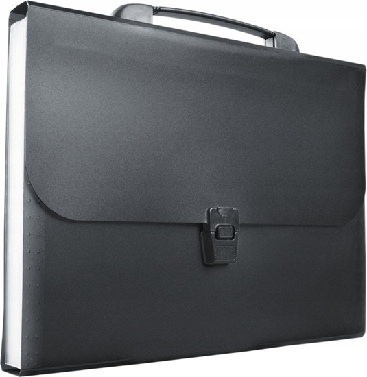 Picture of Teka Teczka harmonijkowa A4 PP r±czka 13 przegród czar