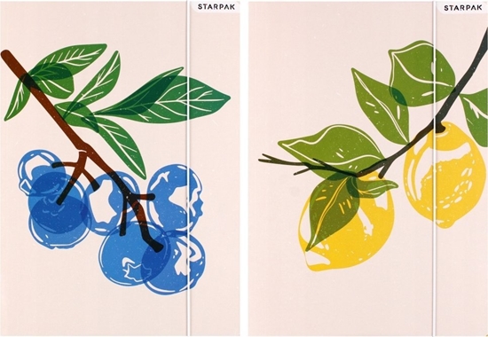 Picture of Teka Teczka z gumk± A4 Fruits