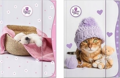 Attēls no Teka Teczka z gumk± A4 The Sweet Pets - Kids mix