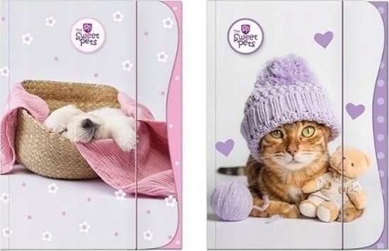 Picture of Teka Teczka z gumk± A4 The Sweet Pets - Kids mix