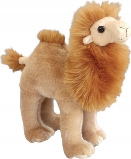 Picture of Teka Wielb±d stoj±cy