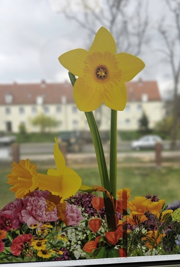 Picture of Teka Wiosenne kwiaty onkile 3szt