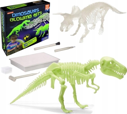 Picture of Teka Wykopaliska paleontolog dinozaur fosforyzuj±cy