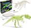 Picture of Teka Wykopaliska paleontolog dinozaur fosforyzuj±cy