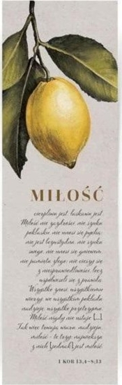 Picture of Teka Zakadka dua - Mio¶ cierpliwa jest