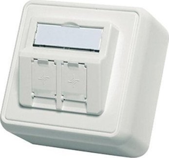 Picture of Telegärtner Telegärtner Datendose, unbestückt, 2-fach, Aufputz, alpinweiß - H02000A0092