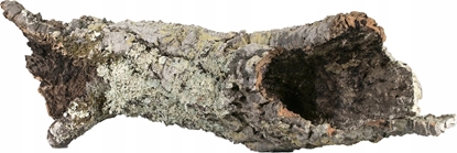 Изображение Terra Natura Dekoracja do terrarium tuby i paty korkowe L-XL (kraj pochodzenia Portugalia), 1kg