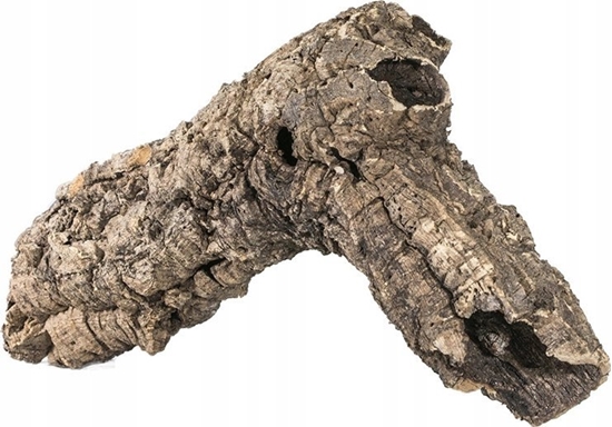 Изображение Terra Natura Dekoracja do terrarium tuby korkowe S-M, do 60cm (kraj pochodzenia Portugalia), 1kg