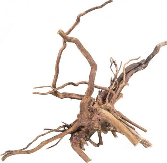 Изображение Terra Natura Korze bagienny RED MOOR MIX