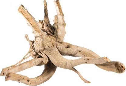 Изображение Terra Natura Korze bagienny M-L RED MOOR 20-50cm