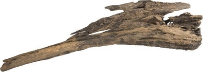 Изображение Terra Natura Korze Smocze drewno M-L 15-50cm