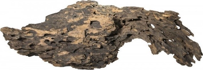 Изображение Terra Natura Korze Smocze drewno S 10-15cm