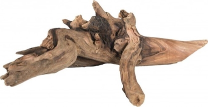 Изображение Terra Natura Mae szybko tonce drewno S 15-20cm