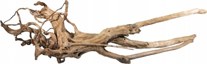 Изображение Terra Natura Pie bagienny, 40-60 cm