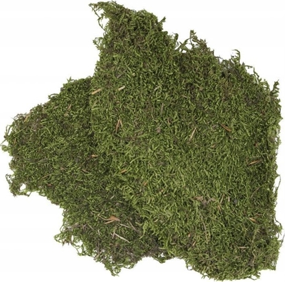 Изображение Terra Natura Podoe do terrarium mech 100g (kraj pochodzenia Turcja)