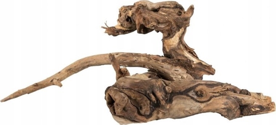 Изображение Terra Natura Szybko tonce drewno, S 20-30CM