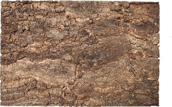 Изображение Terra Natura To do terrarium, Pyta korkowa CAMELEON 60x30cm (kraj pochodzenia : Portugalia)