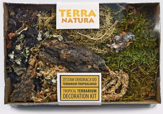 Picture of Terra Natura Zestaw dekoracji do terrarium tropikalnego