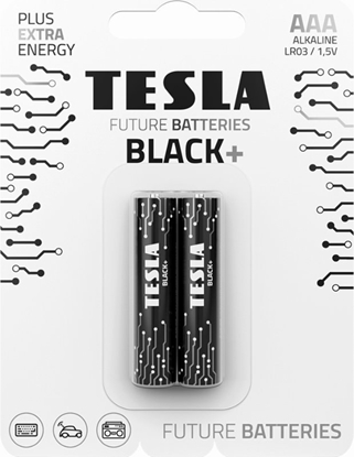 Picture of Tesla BATERIA ALKALICZNA TESLA BLACK+ LR03 B2 1.5V 2 SZTUKI