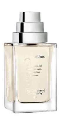 Picture of The Different Company EDT 100 ml