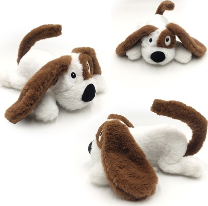 Picture of Thumbs Up Mad Monkey - Chuckle Buddie Hund