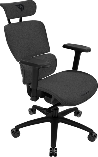 Picture of ThunderX3 XTC Ergonomischer Bürostuhl - Loft Dark Grey