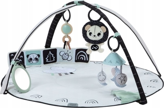 Picture of Tiny Love Decor Gimnastyka Dla Bobasa czarno-biay