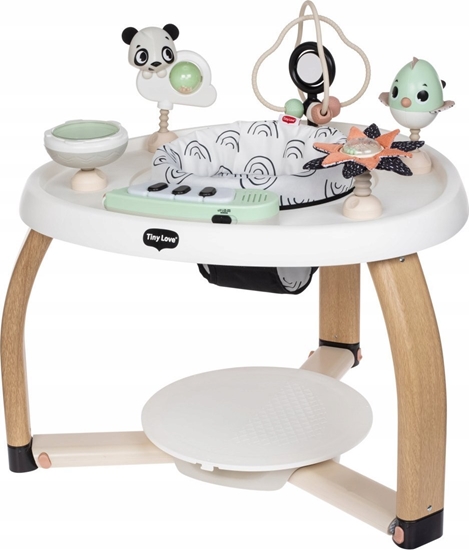 Picture of Tiny Love TINY LOVE STACJON.CENTRUM AKTYWN. 5W1     DECOR CZ/B