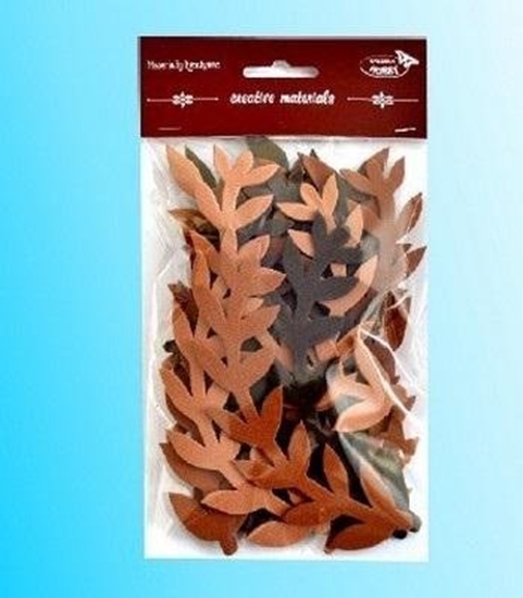 Изображение Titanum Ga±zki tonacja br±zowa 36szt