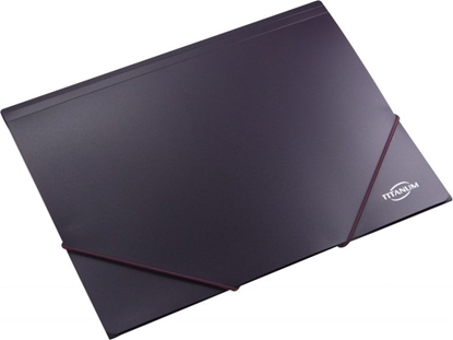 Изображение Titanum Teczka z gumk A4 ( TGM4PU)