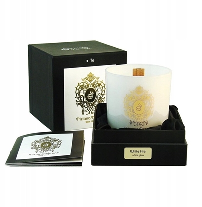 Изображение TIZIANA TERENZI White Fire CANDLE 170g