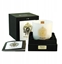 Изображение TIZIANA TERENZI White Fire CANDLE 170g