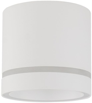 Picture of TK Lighting Jet 4334 plafon lampa sufitowa spot 1x10W GX53 biay