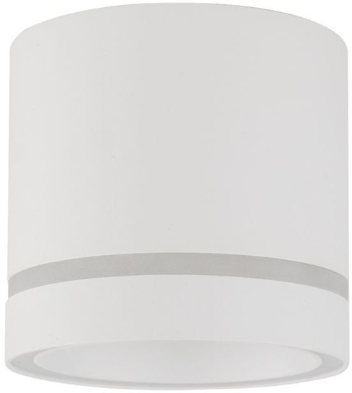 Изображение TK Lighting Jet 4334 plafon lampa sufitowa spot 1x10W GX53 biay