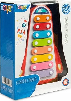 Picture of Toyz ZABAWKA EDUKACYJNA - TCZOWE CYMBAKI