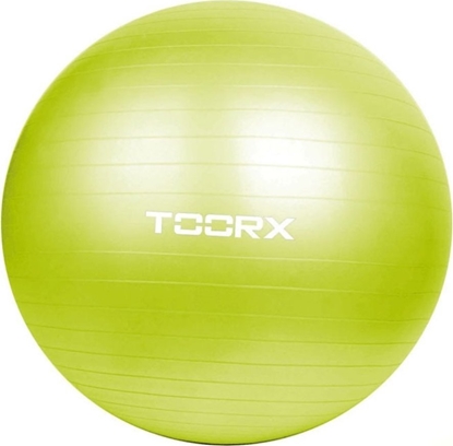 Picture of Toorx Gimnast. kamuolys 65cm TOORX AHF-012 su pompa