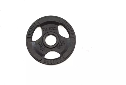 Picture of Toorx Weights for bars TOORX DGN-TG5 D50mm 5kg