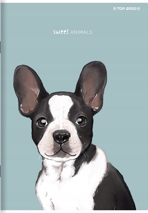 Picture of Top 2000 Zeszyt do sówek Top 2000 Sweet Animal A6/16k kratka