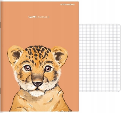 Picture of Top 2000 Zeszyt do sówek Top 2000 Sweet Animal A6/32k kratka
