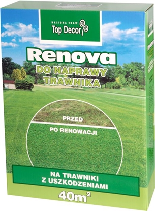 Picture of Top Decor Trawa Renova mieszanka renowacyjna 1kg (TD9615)