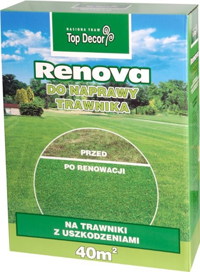 Picture of Top Decor Trawa Renova mieszanka renowacyjna 1kg (TD9615)