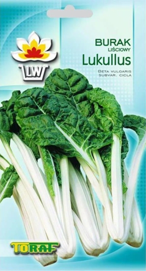 Picture of Toraf Burak liciowy Lukullus nasiona warzyw 5g TORAF