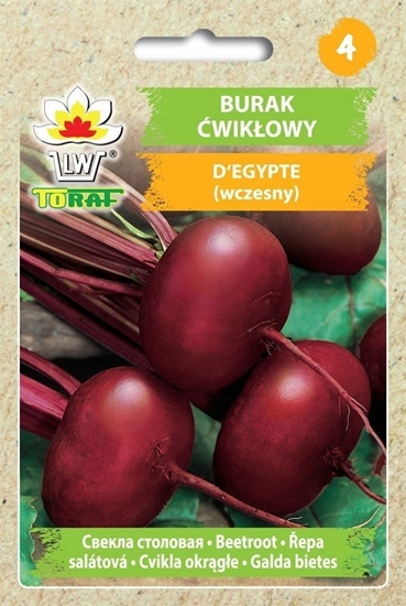 Picture of Toraf Nasiona warzyw | Burak wikowy D'Egypte | Opakowanie 10g