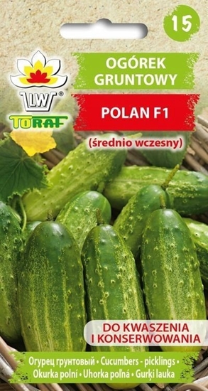 Изображение Toraf Nasiona warzyw | Ogórek Polan F1 | Opakowanie 5g