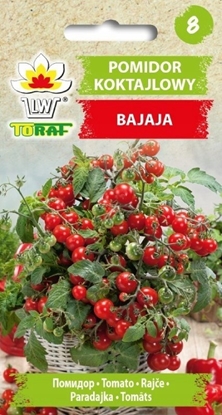 Picture of Toraf Nasiona warzyw | Pomidor Koktajlowy Bajaja | Opakowanie 0,3g