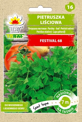 Picture of TORAF PIETRUSZKA NACIOWA FESTIVAL 68 PETROSELINUM CRISPUM (MILL.) [T. 7 M]