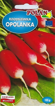 Picture of Toraf Rzodkiew Opolanka wczesna