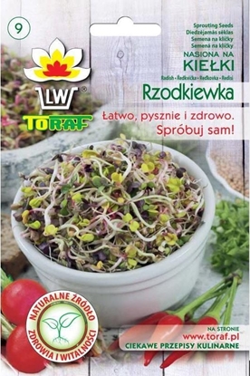 Picture of Toraf Rzodkiewka nasiona na kieki 20g TORAF